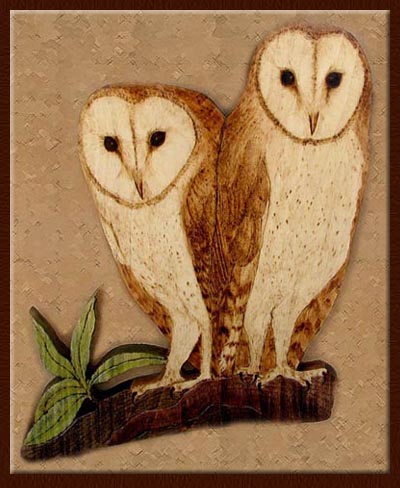 tyto alba barn owl tanja sova pyrography